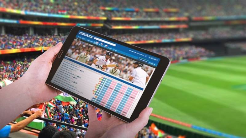 Cược cricket có rủi ro gì?